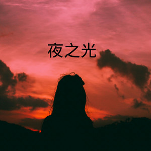 被你伤过的心还能再爱谁