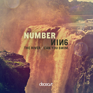 Can You Swim (Original Mix)