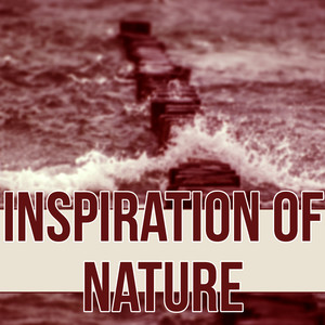 Inspiration of Nature - Zen Meditation & Well Being, Instrumental Relaxing Music, New Age, Yoga Background Music