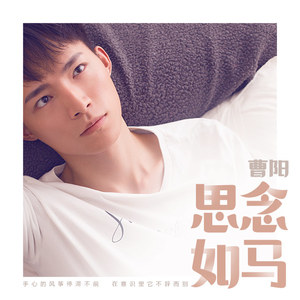 曹阳 - 思念如马