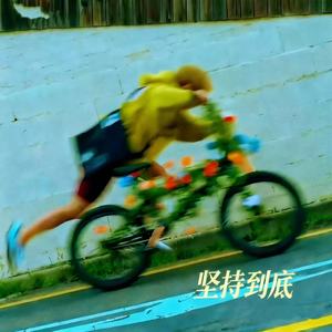 坚持到底 (是你让我看透生命这东西)