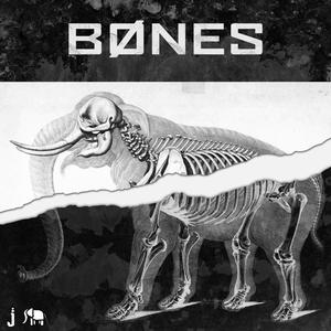 BØNES