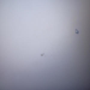 OXO=O (feat. SON OF IKA JAMOKAY)