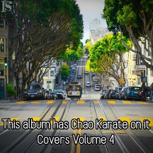This Album Has Chao Karate On It (Covers Volume 4)