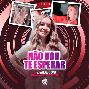 Não Vou Te Esperar (Explicit)