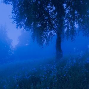 who let u down? (Explicit)