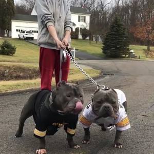 Bar 4 Bar (Explicit)