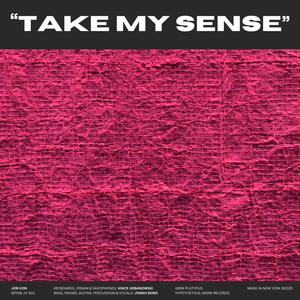 Take My Sense