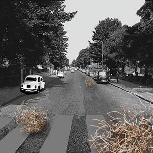 What Shape Is Your Dream(feat. Hazel Smith)