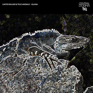 Iguana (Original Mix)