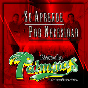 Banda Palmitas De Zirandaro - Nochez Atrazadas