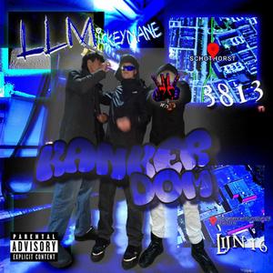 ****ING DOM (feat. ozai4000, Stxney & bl4ckout) (Explicit)
