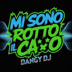 Mi Sono Rotto Il Caxxo