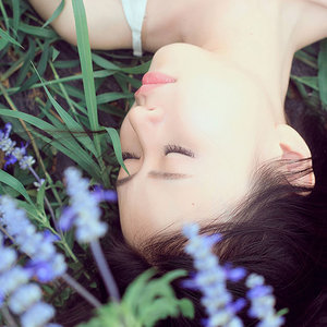 元宵圆圆人团圆