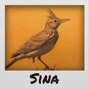 Sina