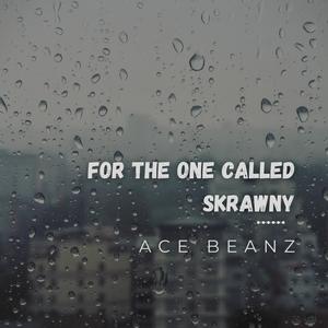 For The One Called Skrawny (feat. Ace Beanz & Xavier Williams) [Explicit]