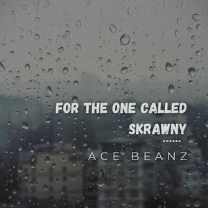 For The One Called Skrawny (feat. Ace Beanz & Xavier Williams) (Explicit)