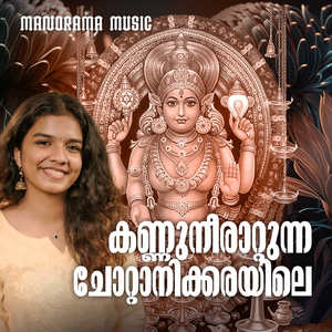 Kannuneeraattunna Chottaanikkarayile