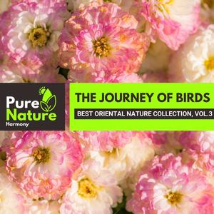 The Journey of Birds - Best Oriental Nature Collection, Vol.3