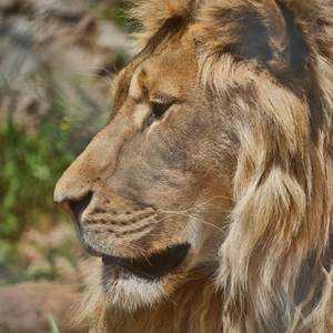 OUT ON BAIL!!!! (Explicit)