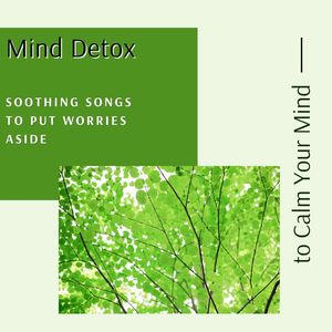 Mind Detox: Soothing Songs to Calm Your Mind and Put Worries Aside