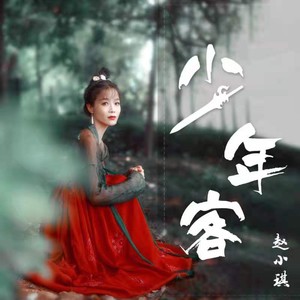 少年客 (DJ名龙版)