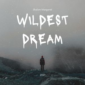 Wildest Dreams