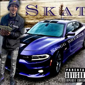 SKAT (remix) [Explicit]