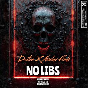 No Libs (Explicit)