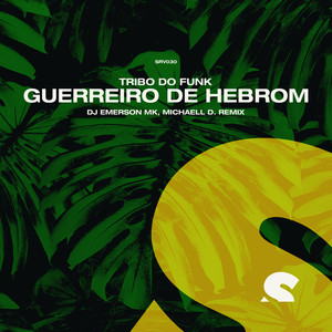 Guerreiro De Hebrom