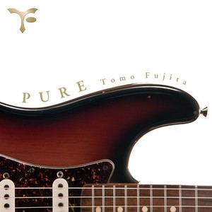 Pure (feat. Will Lee, Steve Gadd, Bernard Purdie & Steve Jordan)