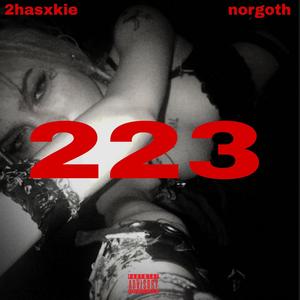 223 (Explicit)