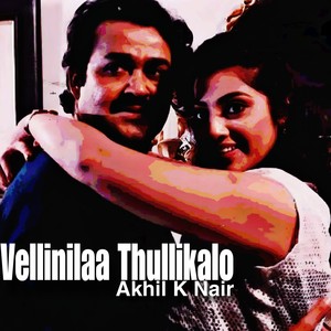 Vellinilaa Thullikalo