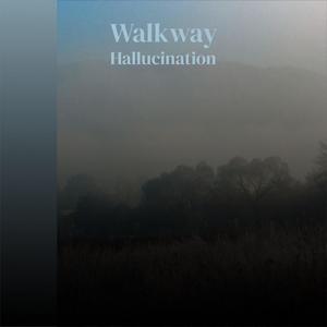 Walkway Hallucination