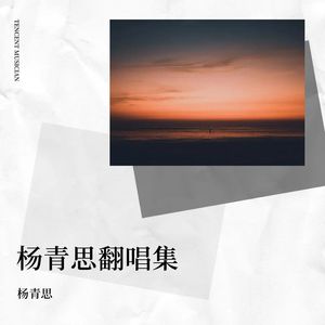 传世之爱封面