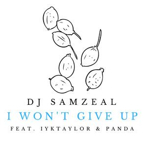 I Won't Give Up (feat. Iyktaylor, Panda)