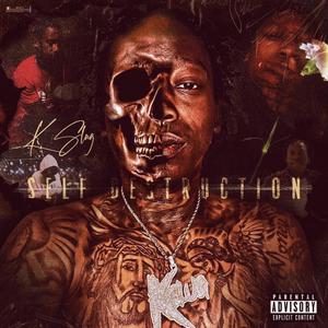 Fake Friend (feat. Mir Mulla) (Explicit)