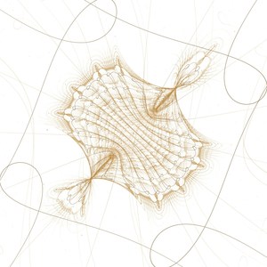 Джунт (Explicit)