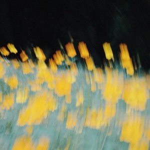 Dear D (氛围Remix)