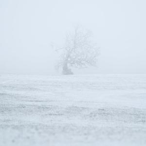 Winter's Lullaby (feat. Martyr) (Explicit)