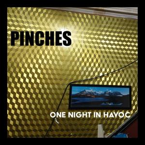 One Night in Havoc