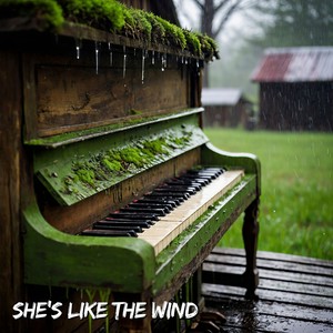 She’s Like the Wind
