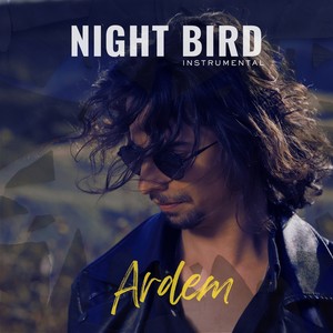 Night Bird
