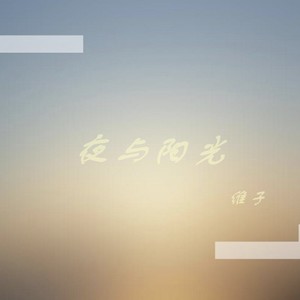 夜与阳光