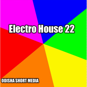 Electro House 22