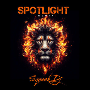 Spotlight (Remix)