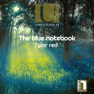 The Blue Notebook