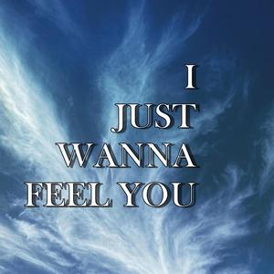 I Just Wanna Feel You (feat. Mc Dac)