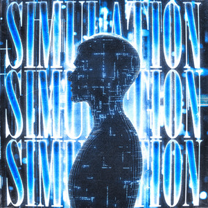 SIMULATION