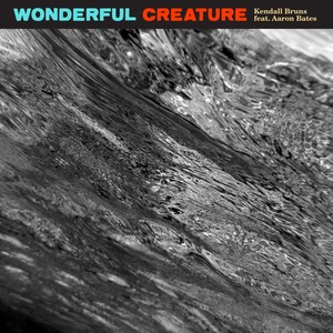 Wonderful Creature (feat. Aaron Bates)